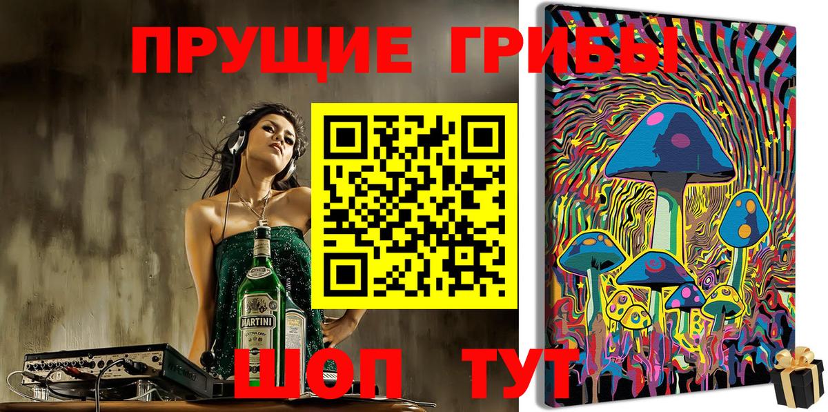 Касимов  Псилоцибиновые грибы Cubensis  Вход с VPN 